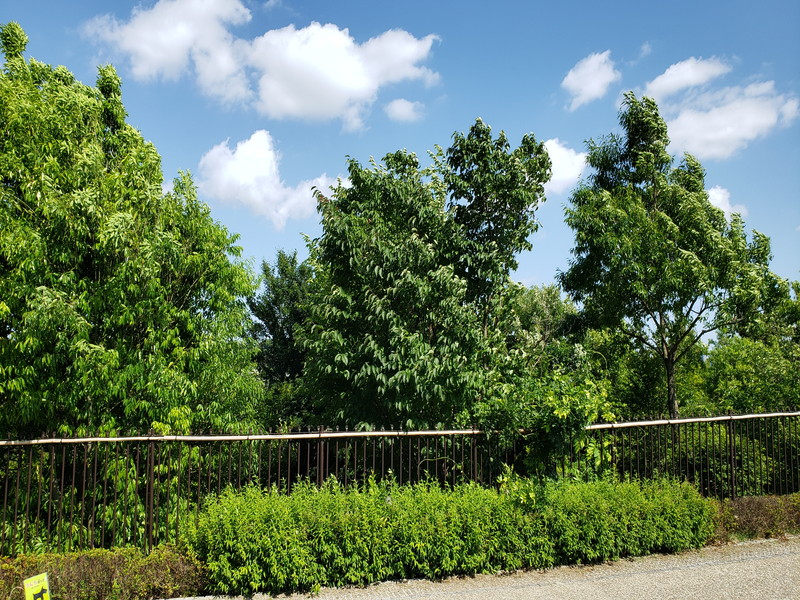 ピアースコード二子玉川3階の室内16