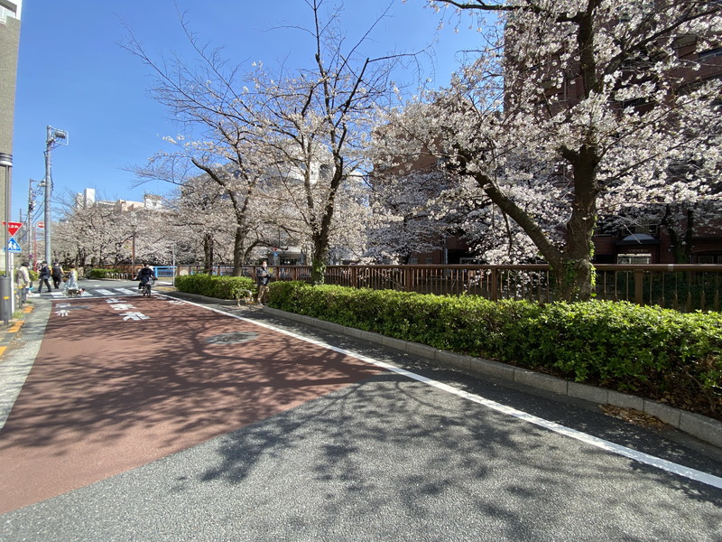 グランドパーク池尻大橋4階の室内13