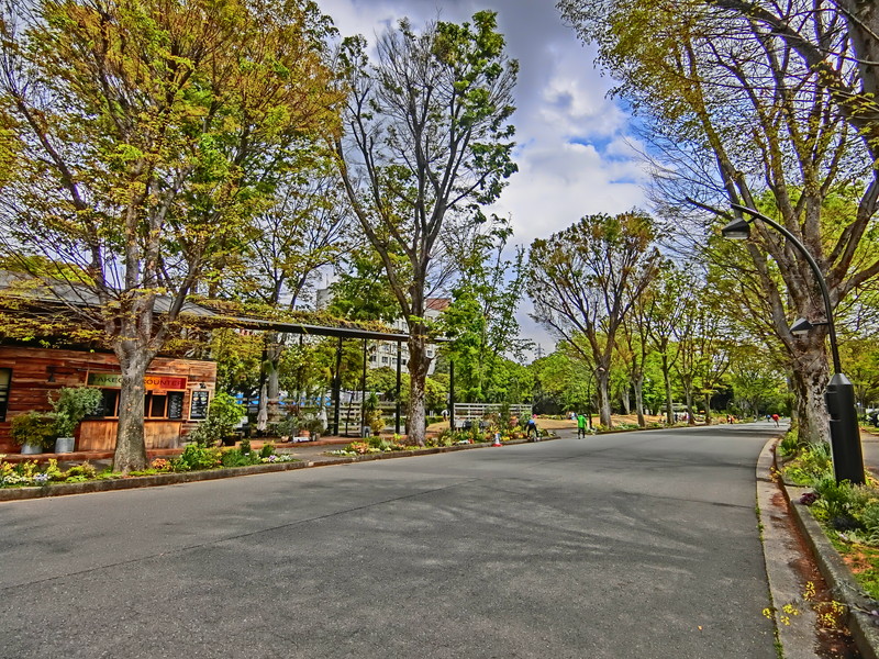 クレストフォルム駒沢公園3階の室内17