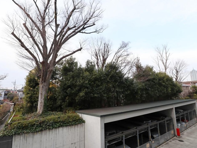 ザ・パークハウス　二子玉川ガーデン4階の室内10