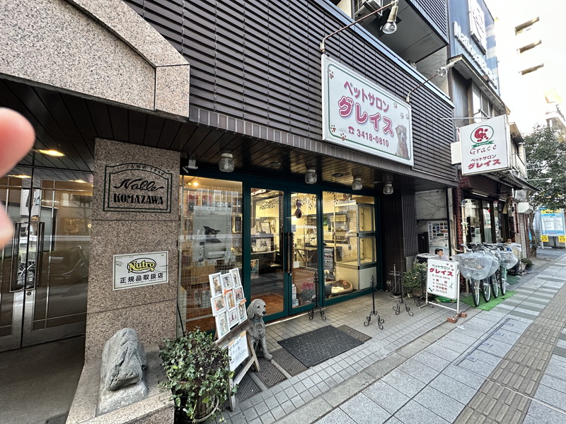 イトーピア桜新町イストハウス3階の室内16