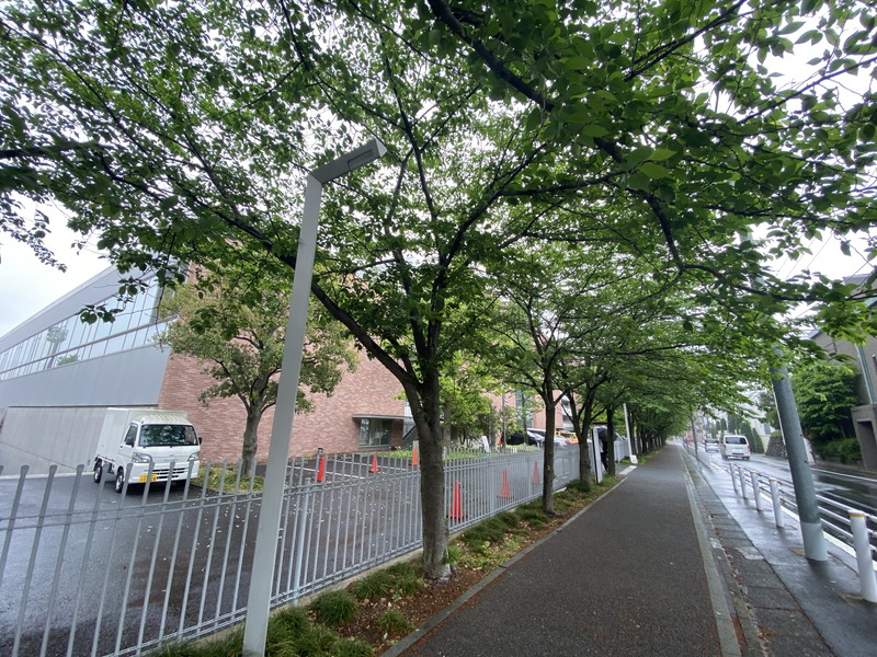 深沢コーポラス4階の室内12
