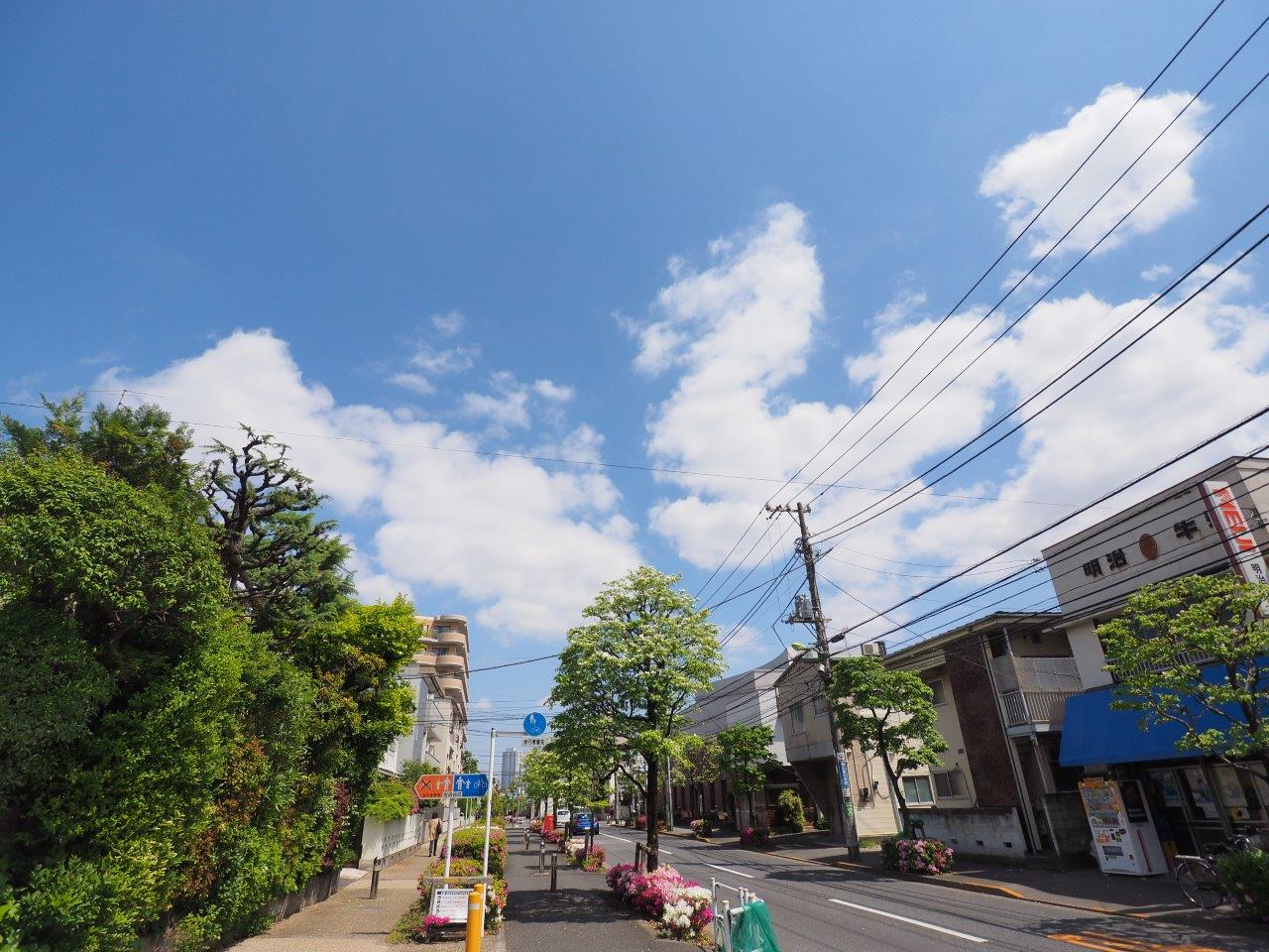 パークハイム桜新町1階の室内18