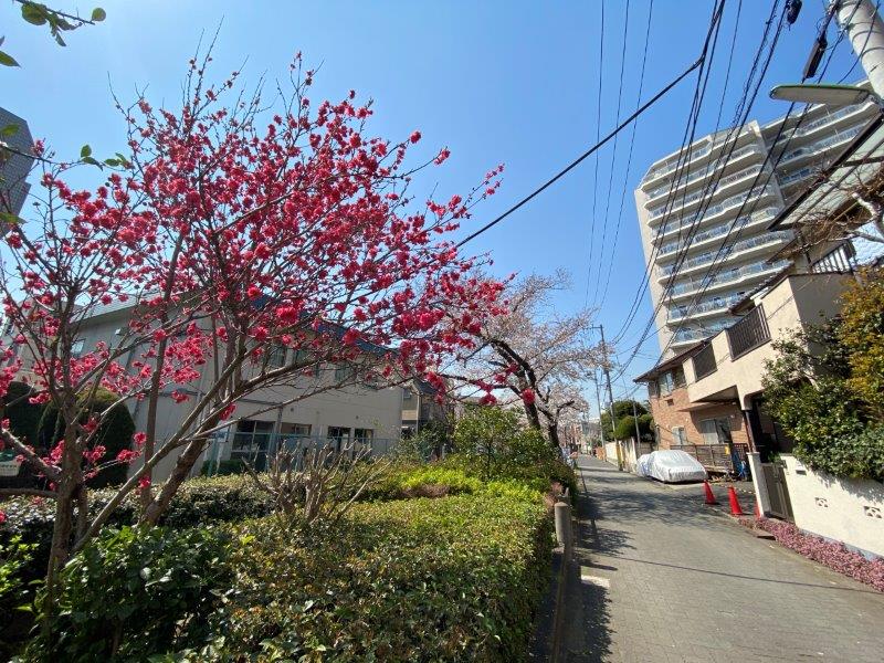 マスタービューレジデンス2階の室内3