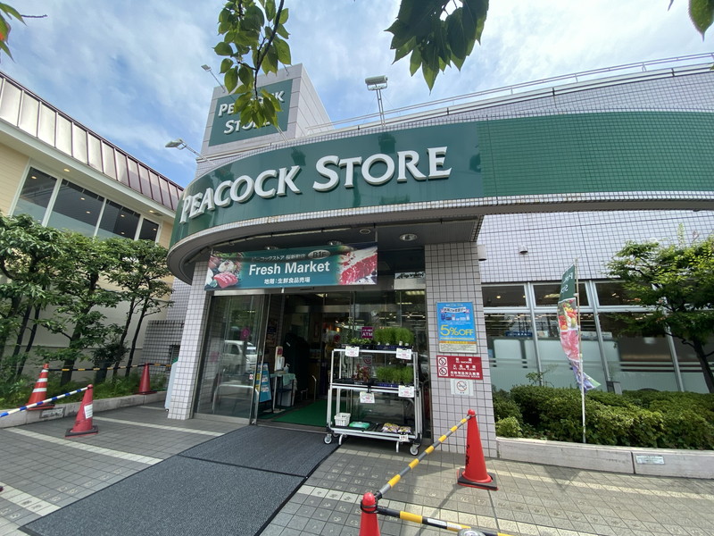 リストレジデンス桜新町6階の室内8