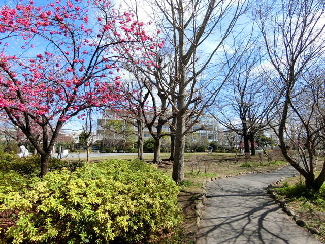 ヒルズ池尻東山公園1階の室内11