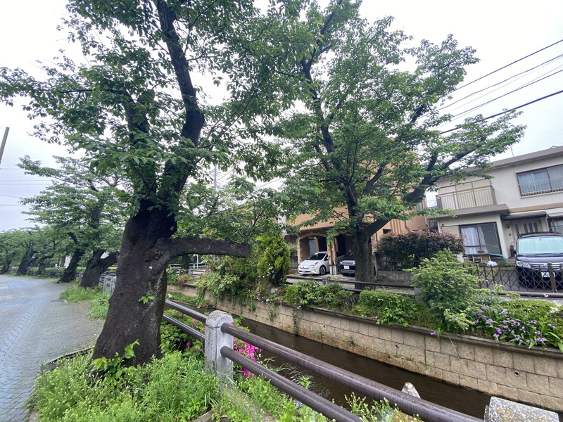 ルナコート等々力5階の室内15